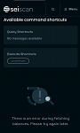 Seiscan explorer showing zero assets balance